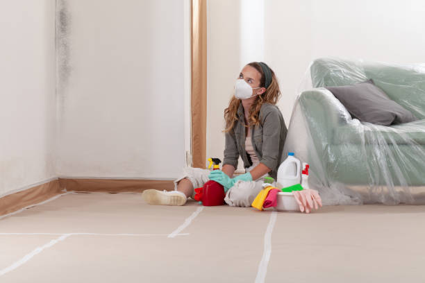 Reliable Commercial Mold Remediation contractor in Fort Myer, VA by Car Mold Remediation